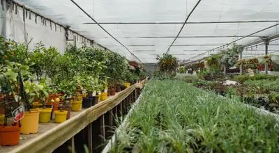 Agrovet farm supply store
