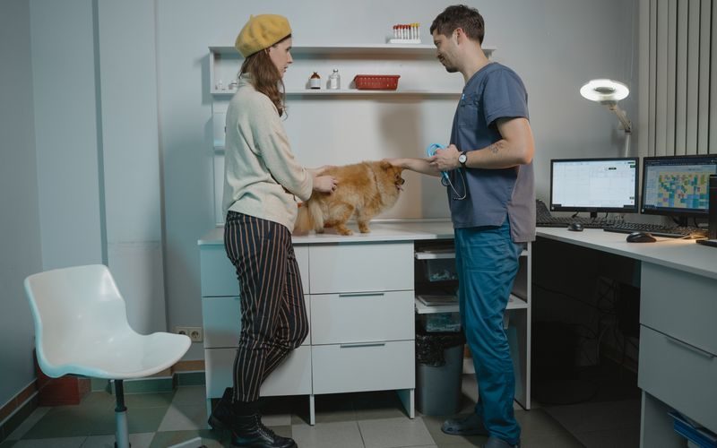 Veterinary clinic examination room